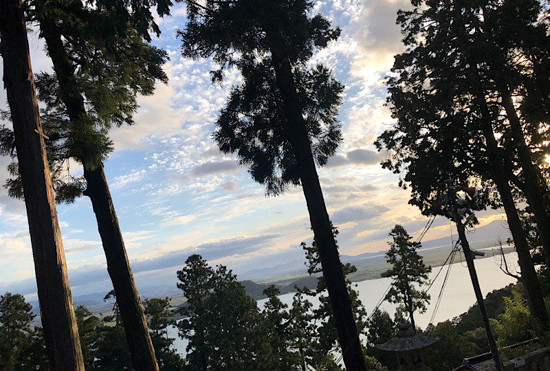 サポートされ生かされている