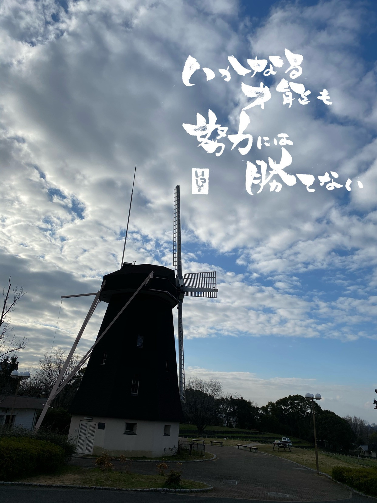 努力は才能に勝る