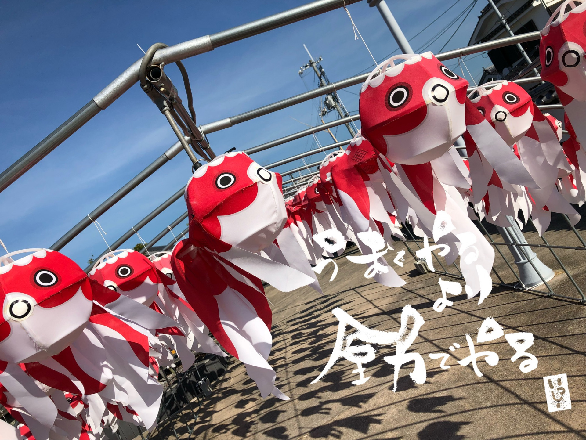 やるなら全力で！