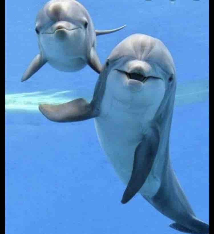 自分を責めてしまうお母さんへ。エール！